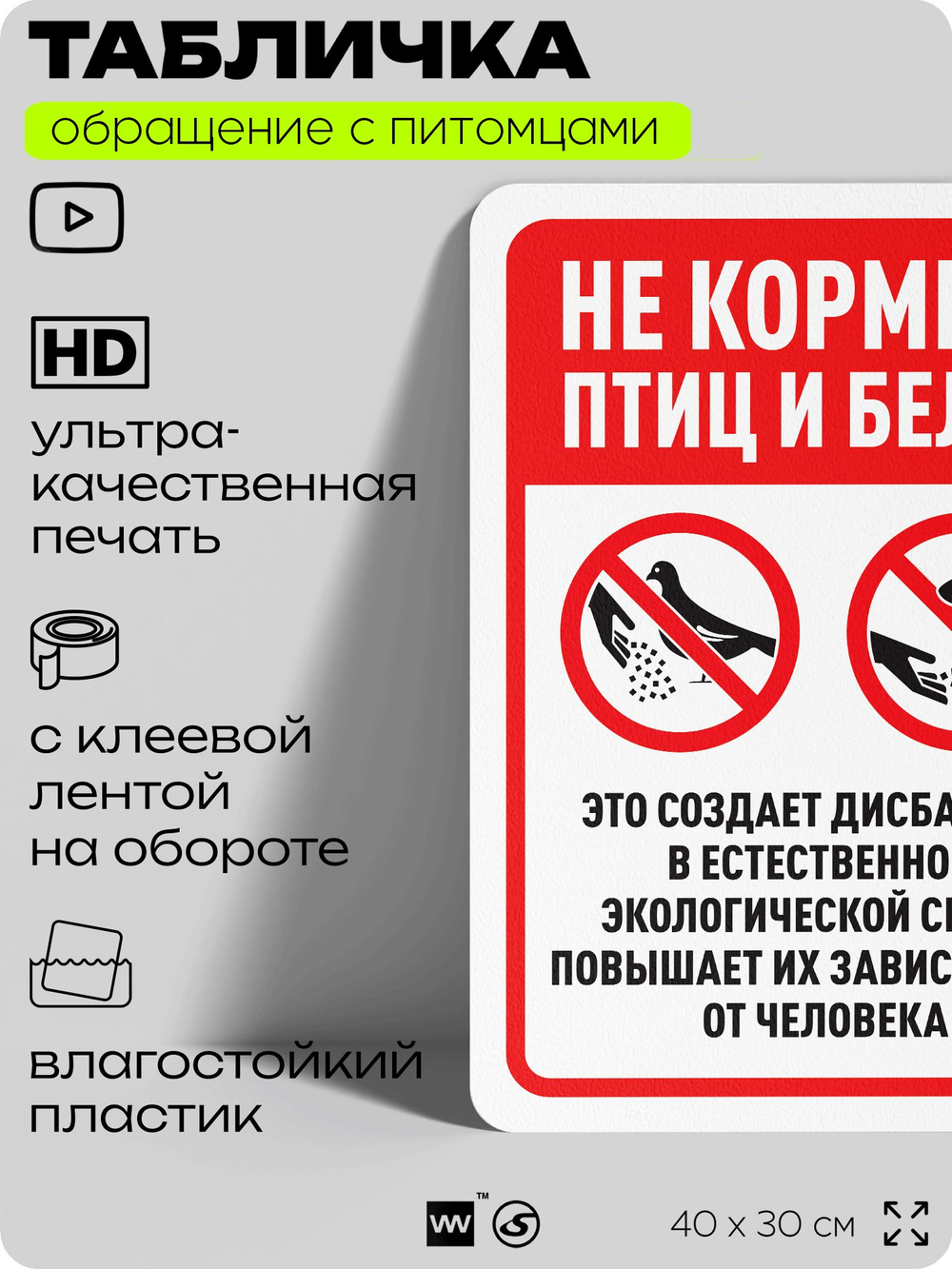 Табличка "Не кормите птиц и белок" на дверь и забор, для двора, дома, подъезда, 40х30 см, Silver Plane x Айдентика Технолоджи