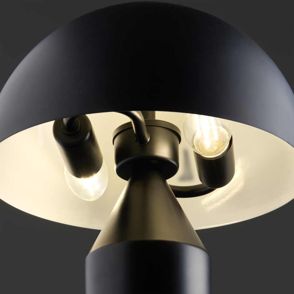 Настольный светильник Freya FR5218TL-02B1