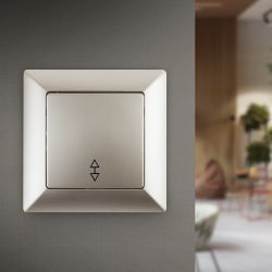 Переключатель Intro Solo 4-103-04 одноклавишный 10А-250В, IP20, СУ, шампань