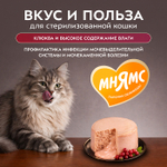 Влажный корм для стерилизованных кошек Деликатес Фондан из мяса курицы с клюквой Мнямс 80 г 6 шт