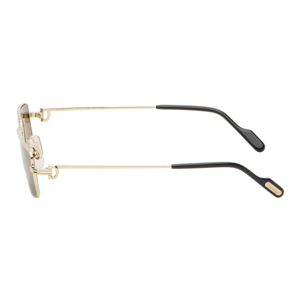 Очки CARTIER, 251346M134031