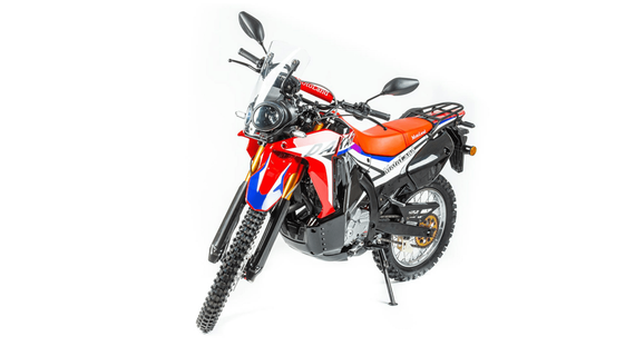 Мотоцикл кроссовый эндуро MOTOLAND Dakar ST (172FMM PR250)