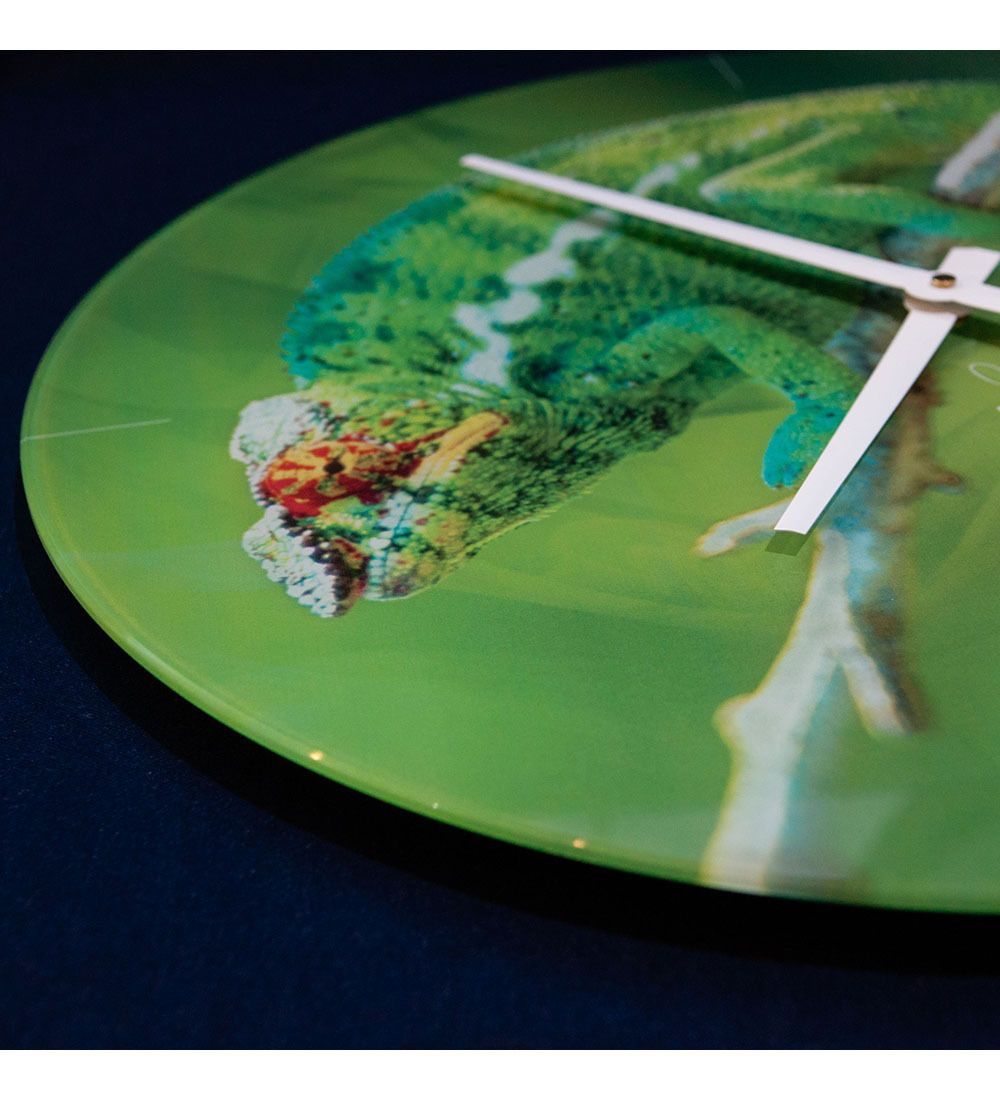 Салют SLT- 06 Часы настенные «NATURE»