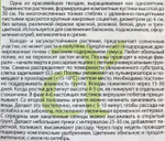 Гвоздика Геддевига Смесь 0,2 г СМЦ-555