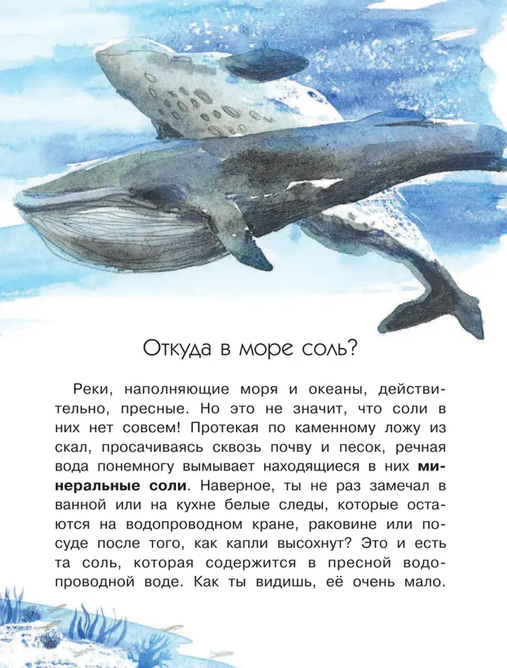 Почему море солёное?