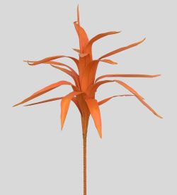 TRN 122 Кордилина