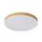 7761/50L MITRA LED SN 107 Светильник пластик/белый/под дерево LED 50Вт 3000-6500K D500 IP54 CCT GAMMA