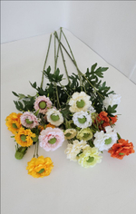 Скабиоза / Арт 2483