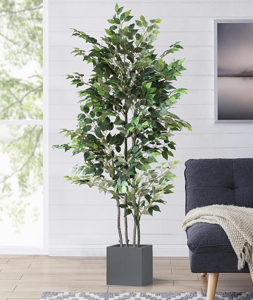 Купить недорого искусственное растение Фикус Бенджамина зеленый 180 см ...