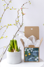 Первоцветы в бетонном кашпо с открыткой