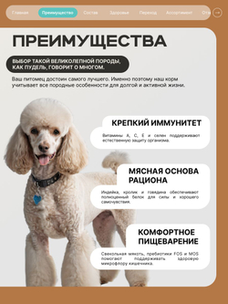 Корм для взрослых собак породы Пудель, с кроликом, 12 кг, QUATTRO