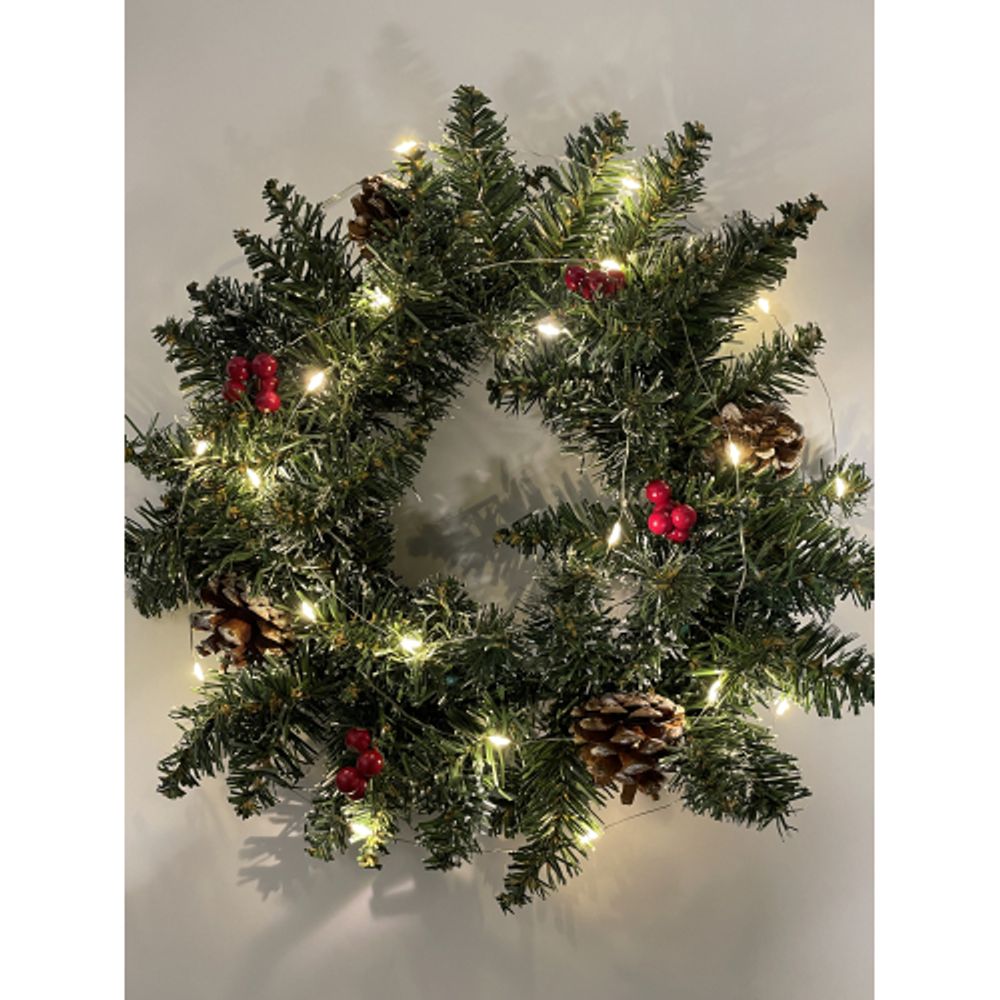 ENIN-2B ЭРА Гирлянда LED Нить 2 м теплый свет, АА, IP20