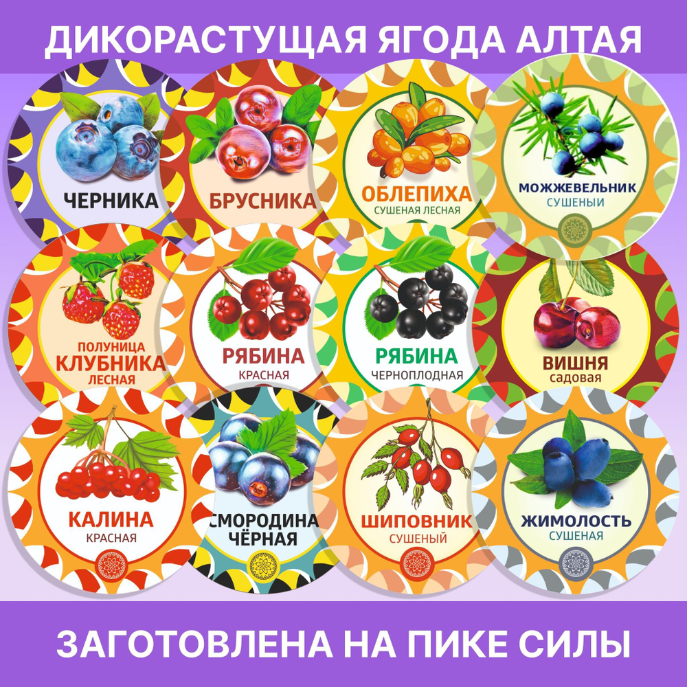 Амурский бархат ягода сушеная.