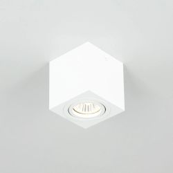 Citilux Дюрен CL538211 Светильник накладной поворотный Белый