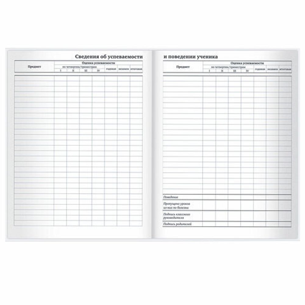 Дневник 1-11 класс 40 л., твердый, BRAUBERG, глянцевая ламинация, "Сова", 106846