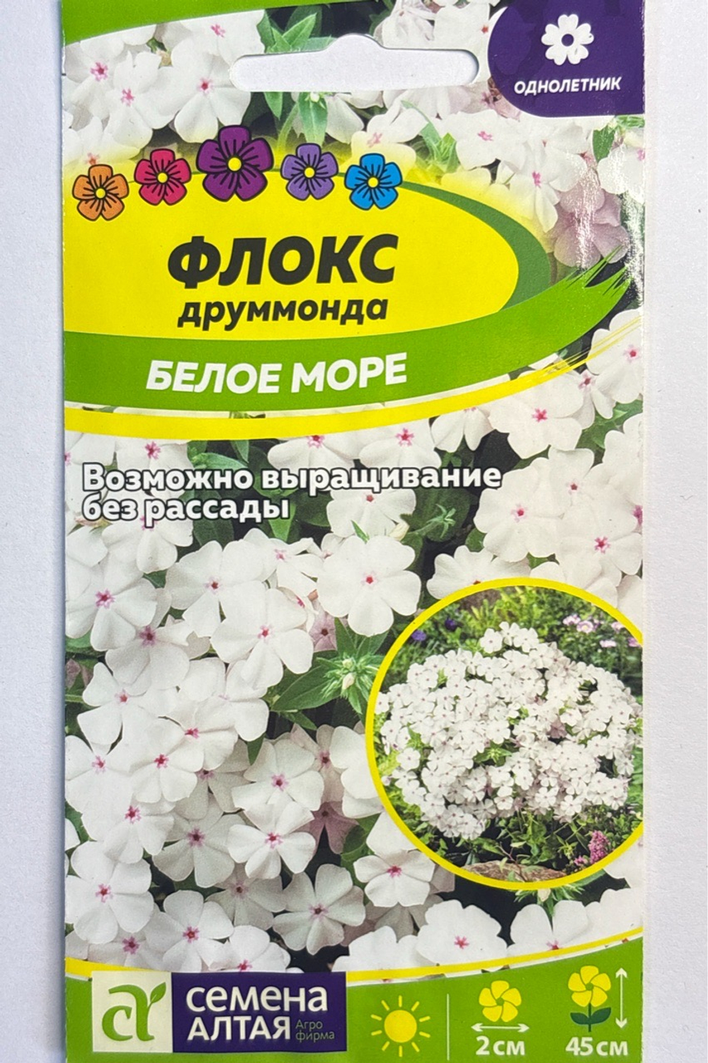 Флокс Друммонда Белое море 0,1 г СМЦ-272