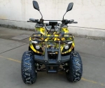Электроквадроцикл Green Camel Атакама T320 (48V 1000W R8 Дифференциал)