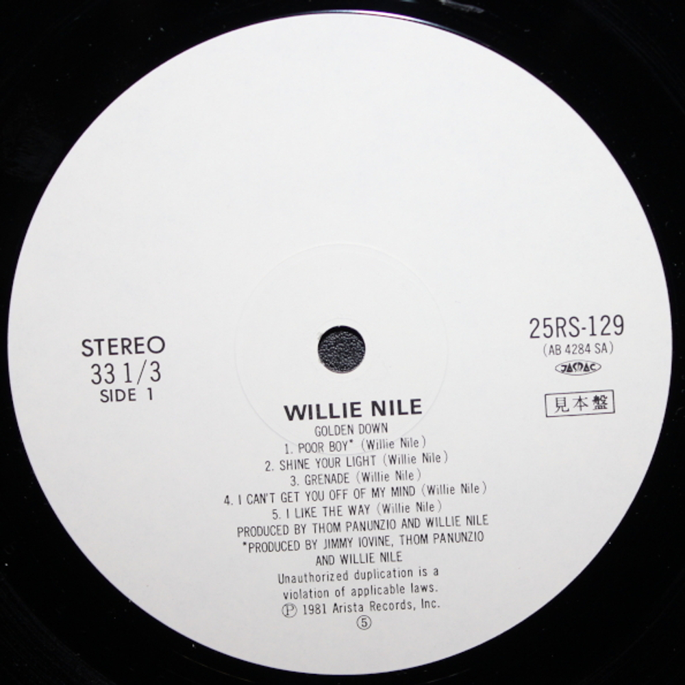 Willie Nile / Golden Down (LP)