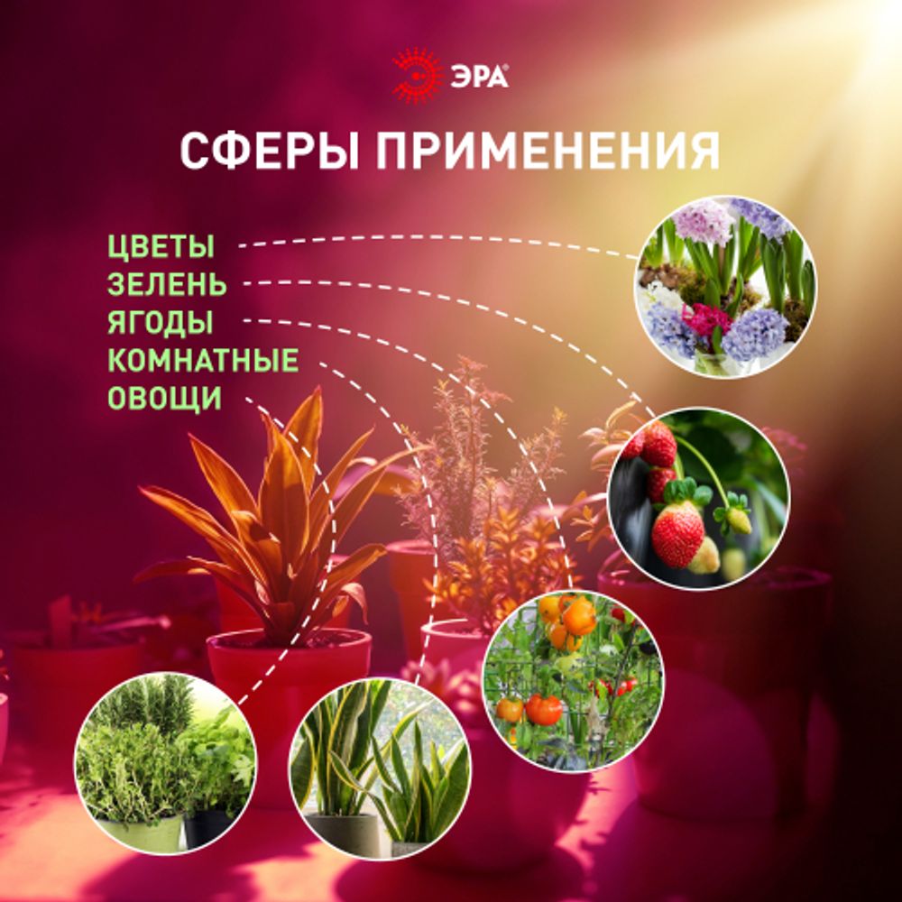 Светильник для растений, фитолампа светодиодная линейная ЭРА FITO-18W-PL-LINE 573-GR красно-синего спектра 18 Вт Т5 | Линейные фито светильники