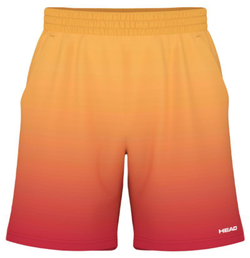 Мужские теннисные шорты Head Power II - разноцветный