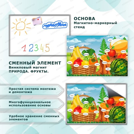 Комплект развивающий ПРИРОДА. ФРУКТЫ. 2188