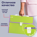 Папка-портфель пластиковая BRAUBERG "JOY" А4 (330х245х35 мм) 13 отделений с окантовкой салатовая (2 штуки в упаковке)