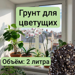 Грунт для Цветущих Растений 2 литра универсальный грунт 2 литра