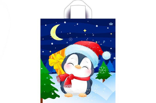 ПАКЕТ ПЕТЛЯ НОВЫЙ ГОД 42*38 50\300 ШТ.