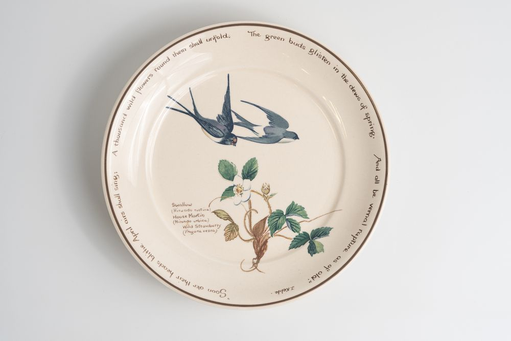 Две тарелки из сервиза «Сельский дневник леди эпохи короля Эдуарда» Эдит Холден (The Country Diary of an Edwardian Lady by Edith Holden 1906)