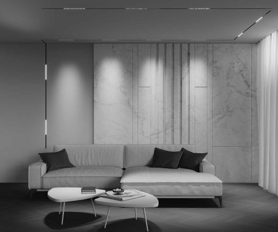 Трековый светильник Maytoni Technical EXILITY X Points TR241-4-12WTW-DSZ-B