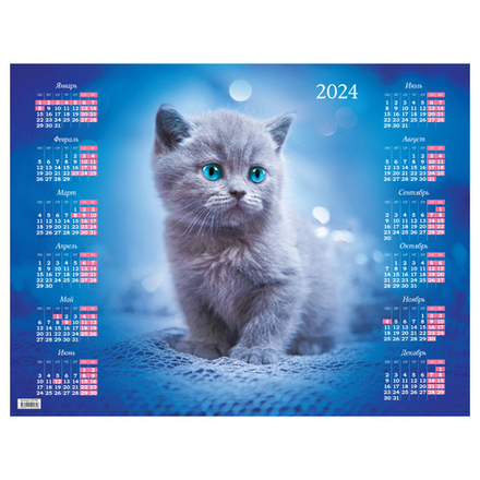 Календарь 2024 лист А2 OfficeSpace "Котик"
