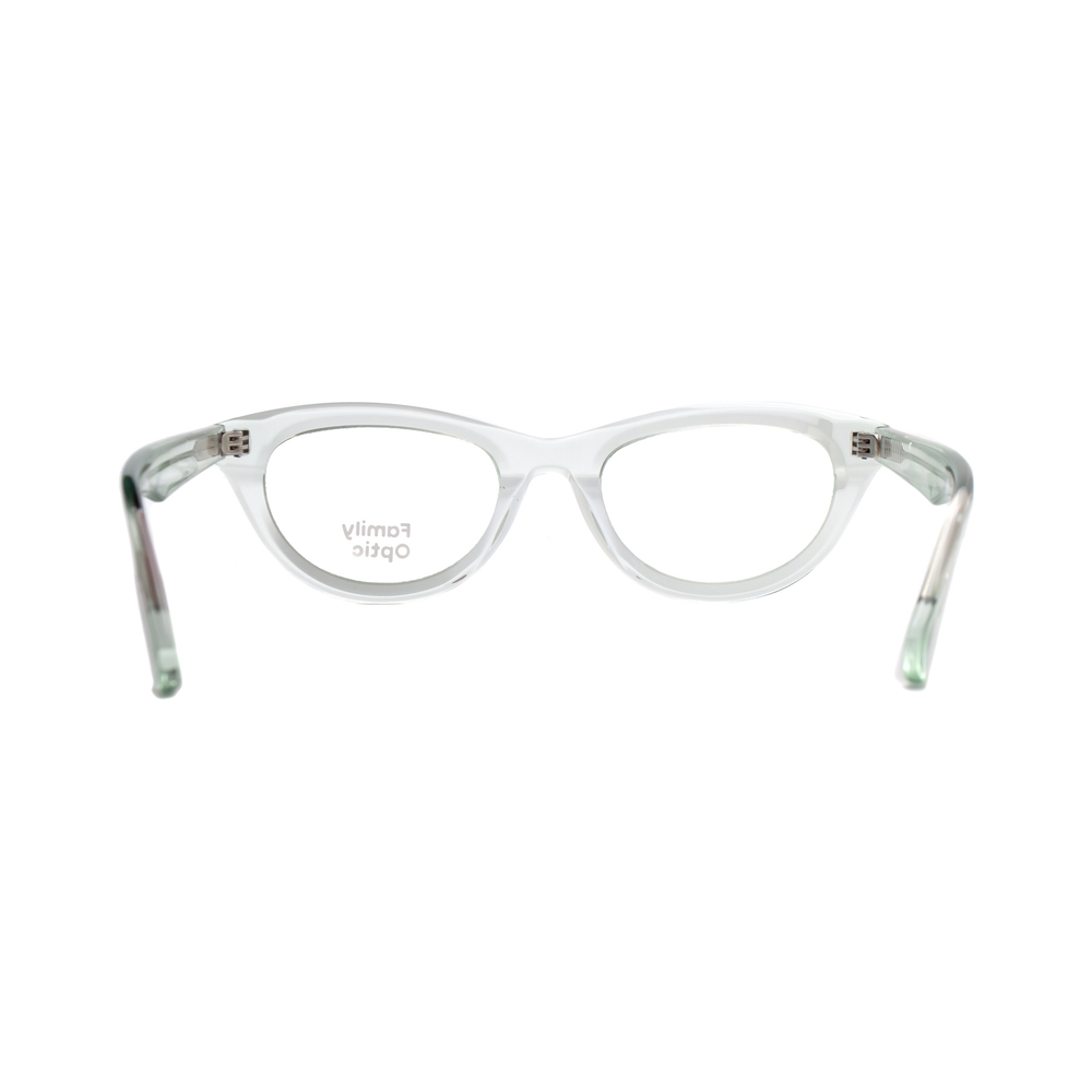 Оправа для чтения Family Optic WD1579P C2 прозрачно-зеленый (Китай)