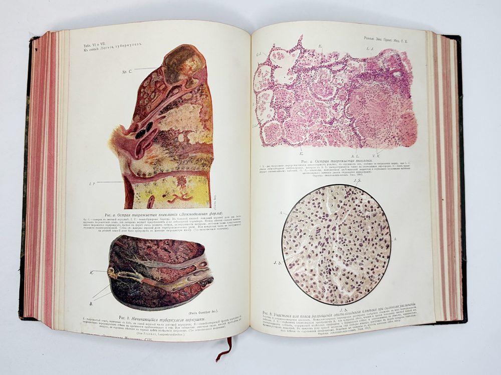 Eulenburg A., проф. Эйленбург А  Реальная энциклопедия практической медицины в XVII томах. 1909-1915
