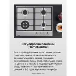 Газовая панель Hansa BHGI631302