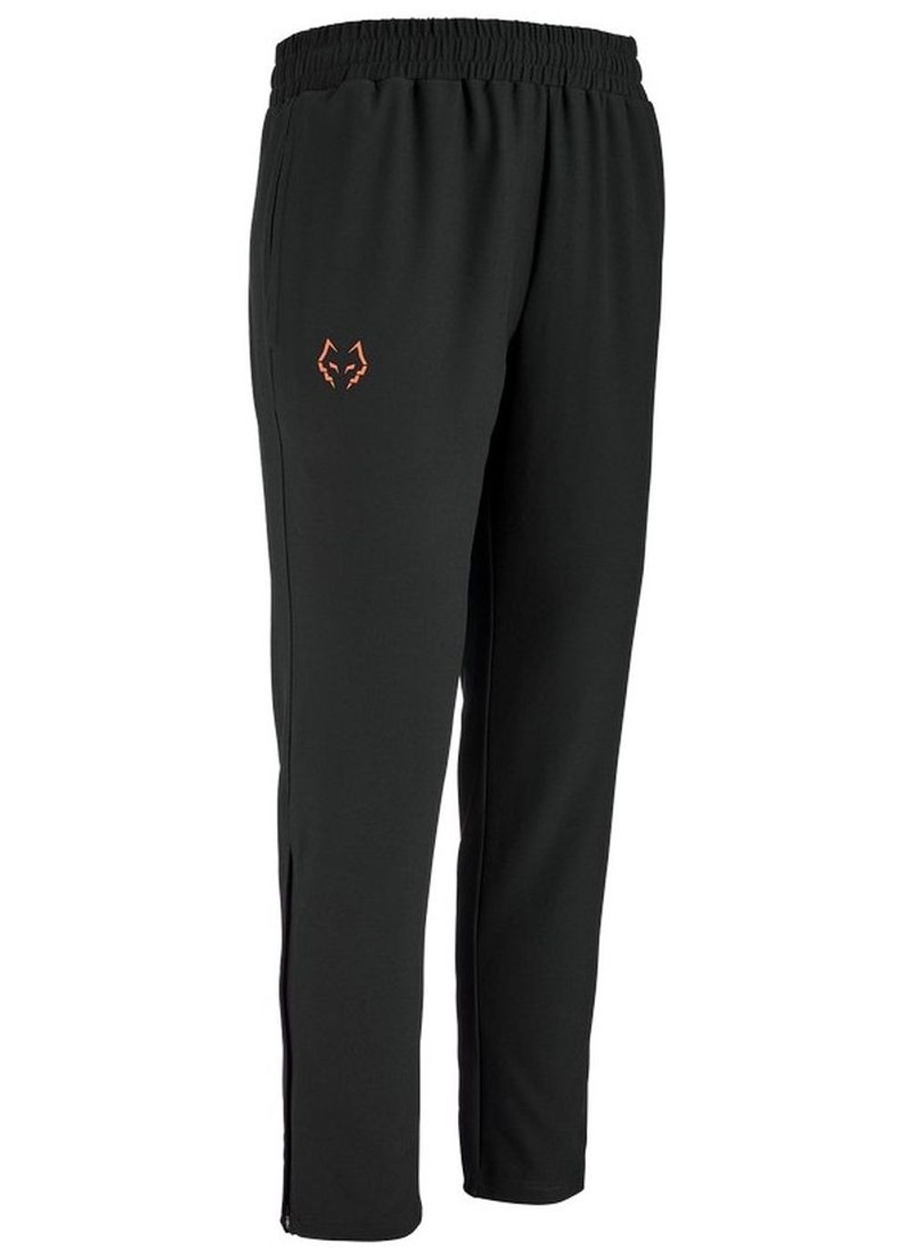 Мужские теннисные штаны Babolat J.Lebron - black