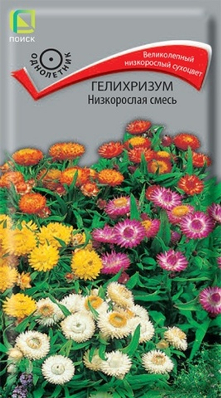 Гелихризум Низкорослая смесь 0,1гр. (Поиск)