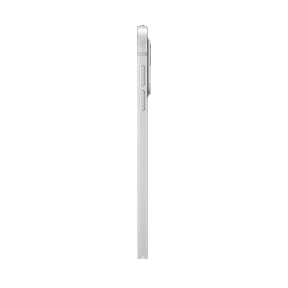 Apple iPad Pro 11 (2024) 256Gb Wi-Fi with Standard glass (Silver)
