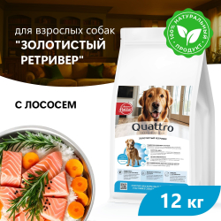 Корм сухой для взрослых собак породы Золотистый ретривер, премиум полнорационный комплекс, с лососем, 12 кг, QUATTRO