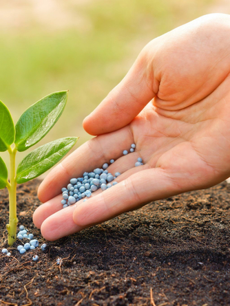 Питание и защита растений (перейти в каталог)