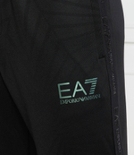 Спортивные штаны EA7 - черный(3DPP55 PJAHZ)