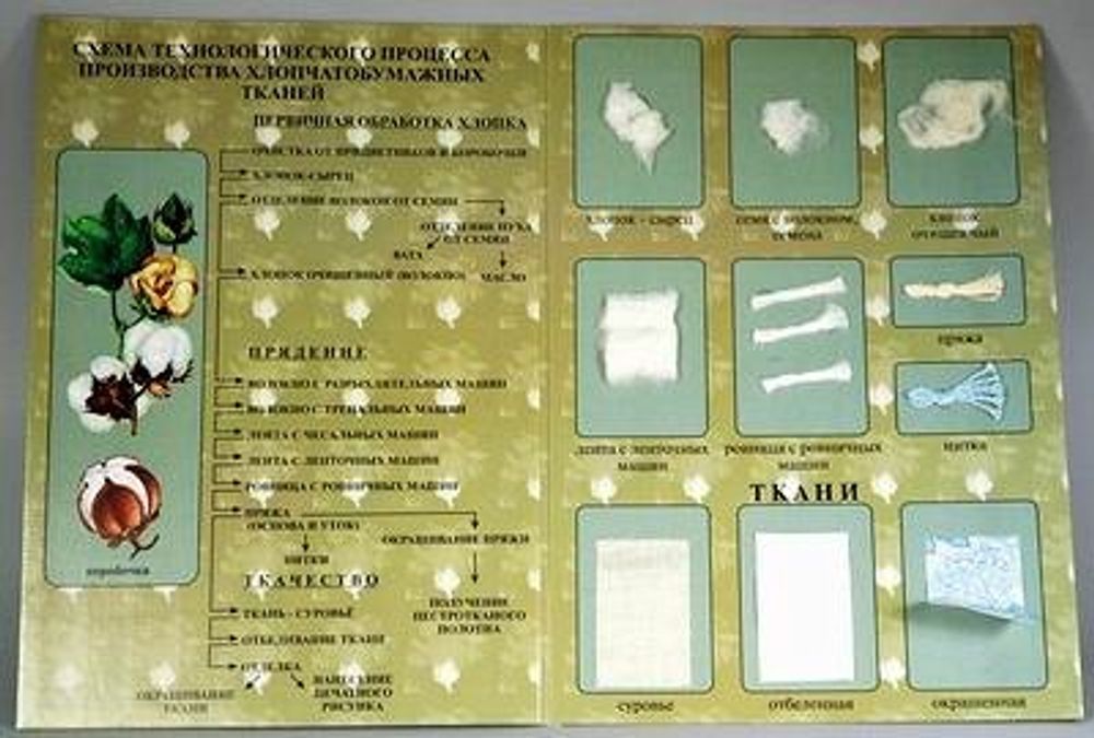 Коллекция «Хлопок и продукты его переработки»