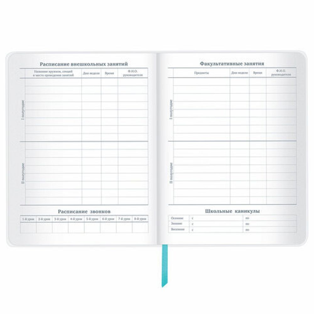 Дневник 1-11 класс 48 л., кожзам (гибкая), термотиснение, фольга, BRAUBERG, "Авокадо", 106167