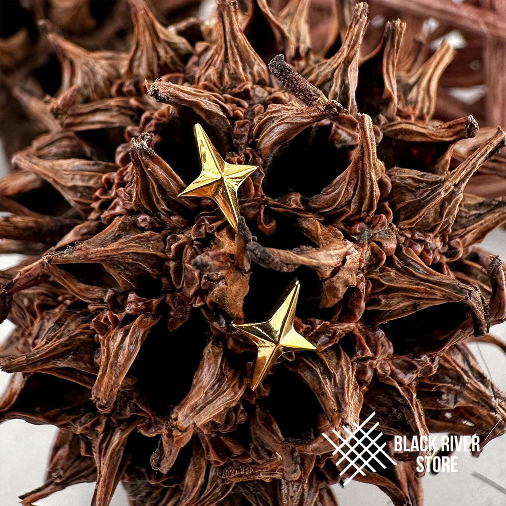 Shiny Star PVD Yellow