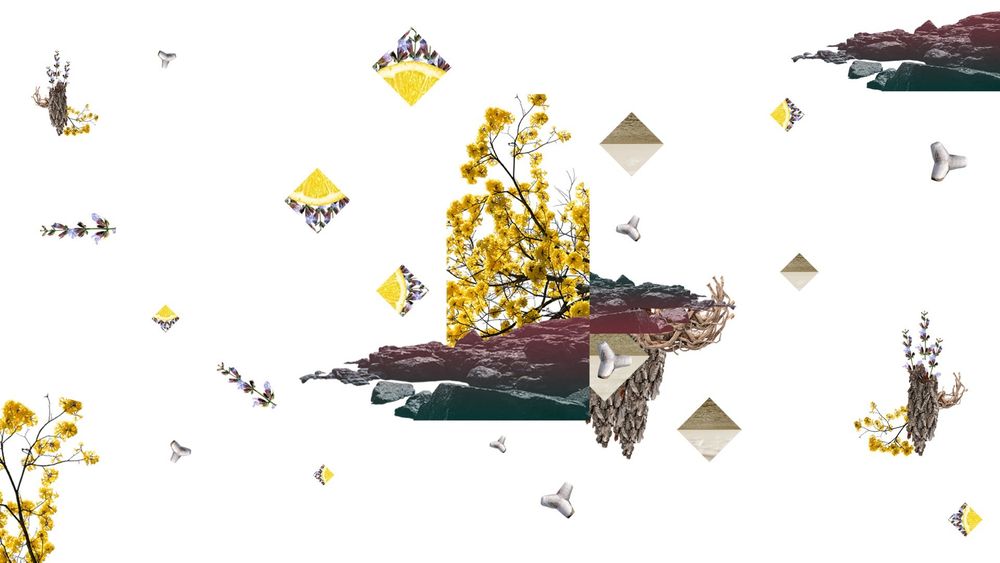 Bombay Perfumery Les Cayes