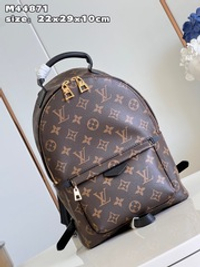 Louis Vuitton Palm Springs PM