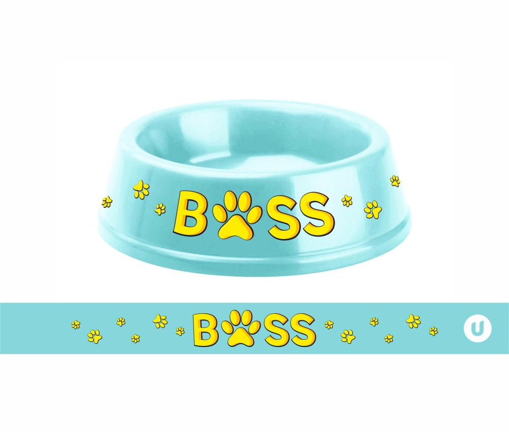 Миска пластиковая «МОЙ БРО - БОСС!, цвет мятный 21*6,5см (логотип на миске) 700мл