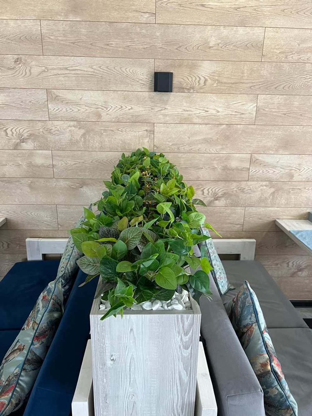 4.23. Озеленение дивайдеров искусственными растениями