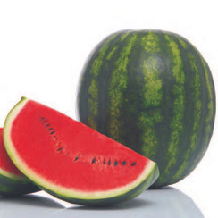 САРМАТ F1 семена арбуза (Sakata | Alexagro)