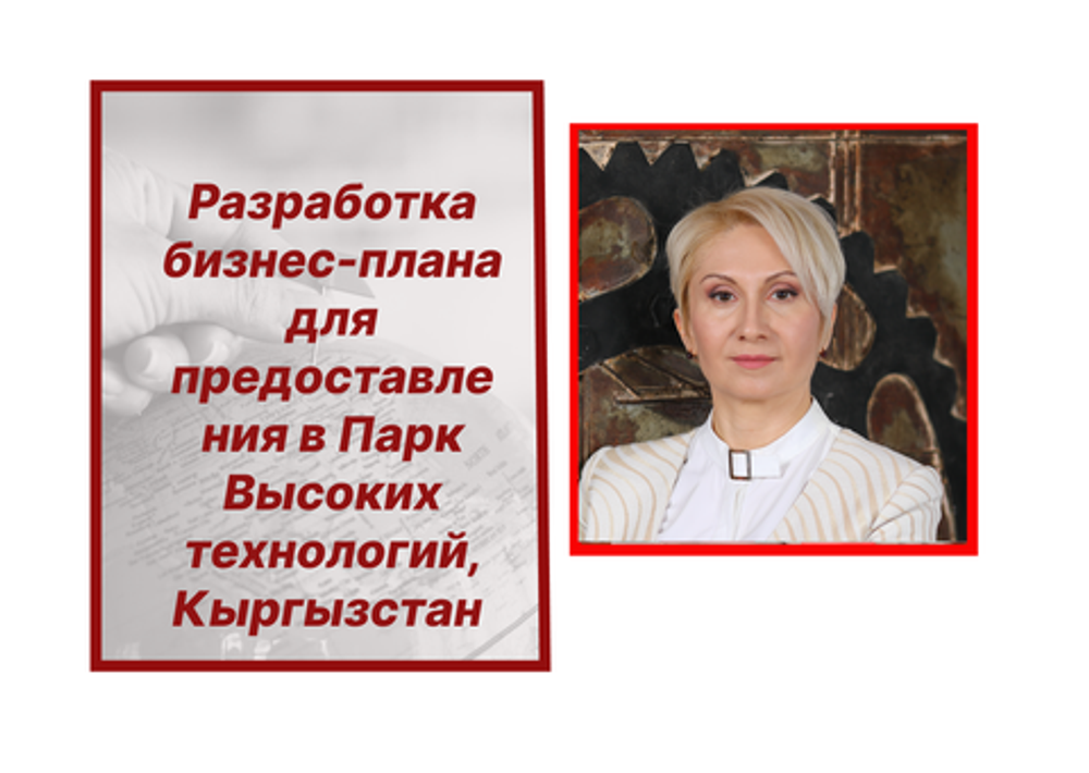 Разработка бизнес-плана для IT компаний для подачи документов в Парк Высоких Технологий, Кыргызстан.