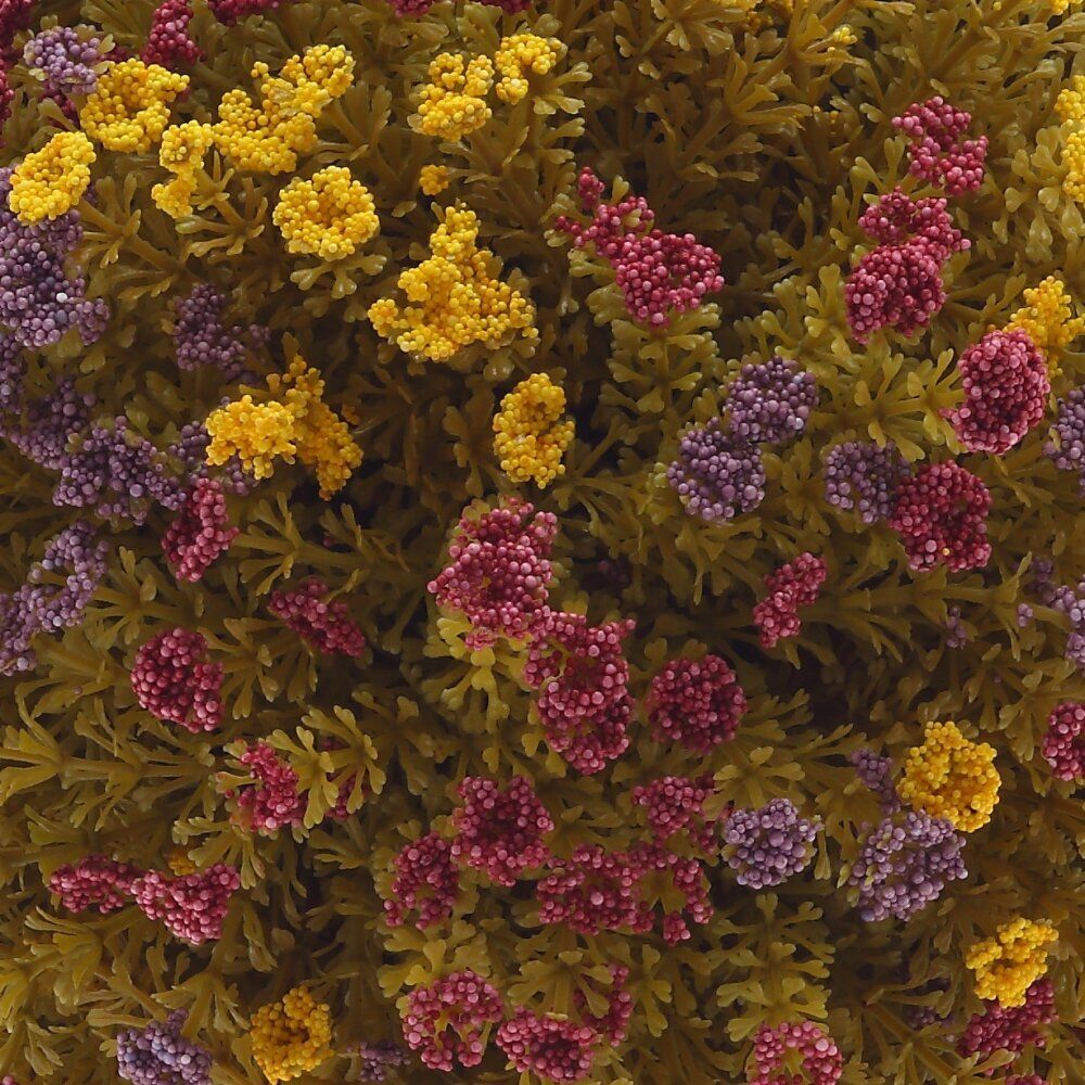 GAEM Цветочная композиция, L25 W25 H18 см